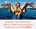 Штрафы и таксы за незаконную добычу животных и водных биоресурсов в России (2026)

В 2026 году в России действует многоуровневая система ответственности за незаконную охо