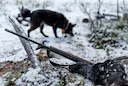 The Ultimate Guide to Kittilä Hunting: Clubs and Communities, Laws, Geography, Types, and Local Traditions

Kittilä, a remote municipality in Finnish Lapland, epitomizes 