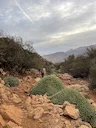 Boar Hunting Morocco 2025: Souss Valley Terrain, Proven Methods & Gear Setup

Wild boar hunting in Morocco’s Souss Valley offers a tactical mix of driven hunts, spot-and-