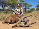 Lowveld Safari Hunting: Geography, Game Species, and Authentic Bushveld Pursuits in South Africa’s Wild East

Geography and Natural Features in Lowveld 

The Lowveld span
