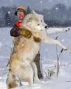 THE WOLF OF MY DREAMS!!!… The challenges of wolf hunting- you sit there staring into space, in a fog, your mind goes numb, for who knows how long… then all of a sudden, i