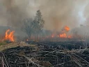В ХМАО открытие охоты переносится на неопределенный срок

В регионе действует режим ЧС, а значит и леса посещать запрещается.

Сезон охоты в Югре должен начаться 13 авгус