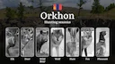 Hunting Dates in Orkhon Province: Seasonality of Hunting, Timing and Regulations, Hunting Permits, Restrictions and Prohibitions

Orkhon Province offers diverse hunting o