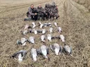 One of the premium week is now available due to a team who had to sadly cancel
20 / 27 October 
From 890£ all include 3 days 
Acomodation,  food, shooting 

There is alwa