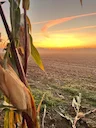 Bonjour à toutes et tous,
Action de chasse 77 (Favières) 

Nous proposons une action complète le samedi. Formule mixte petit et grand gibier. 
20 dates de chasse.

Plusie
