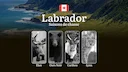 Les périodes de chasse au LABRADOR: ouverture et fermeture, permis obligatoires, règles à connaître 

Le Labrador, avec ses vastes étendues sauvages et ses écosystèmes un