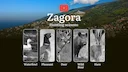 Hunting Dates in Zagora: Seasonality of Hunting, Timing and Regulations, Hunting Permits, Restrictions and Prohibitions

Hunting Seasons in Zagora: Discover the best peri