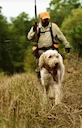 The Spinone Italiano: A Hunter's Companion Across Continents

If you're a hunter who values versatility, stamina, and a gentle touch, the Spinone Italiano deserves a plac