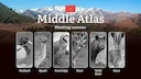 Hunting Periods and Permits in Middle Atlas: A Detailed Look at Game Movement Throughout the Year, Seasonal Limits, and Licensing Requirements and Application Process 

T