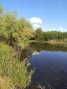 Ходовая по речкам.
Давно не писал отчетов - наконец-то созрел. 

Все лето у нас как всегда стояла жара, озера высохли до размера луж. Три озера на которых я всегда охотил