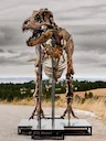 Tyrannosaurus skeleton prehistoric giant trophy sold for 50 000 000$

Hey y'all, it is Jessie. I was just scrolling through the latest news on my phone while Moony was na