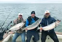 Lake Michigan Salmon Run & New 2026 Fishing Rules
Wisconsin in July is an absolute paradise for outdoorsmen. From the chilly depths of Lake Michigan to the quiet, lily-pa