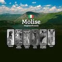 Stagioni Venatorie in Molise: Tutte le Aperture e Chiusure per Cinghiali, Lepri e Volpi

Normativa e Calendario Venatorio in Molise

La stagione venatoria in Molise è reg