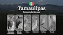 Temporadas y períodos de caza en Tamaulipas: Fechas, Regulaciones y Mejores Épocas para la Cacería

Tamaulipas, uno de los estados con mayor riqueza en biodiversidad de M