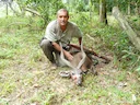 Hunting in Estuaire Province, Gabon: Clubs and Seasons, Laws and Legislation, Demographic Aspects and Communities in Gabon

Geographical Features of Estuaire Region

Estu