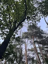 Летний сезон открыли)
