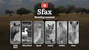 Hunting Seasons in SFAX: Opening and Closing Dates, General Rules, Protected Species, Legal Requirements and Penalties for Violations
Sfax, located in central Tunisia, i Hunting Seasons in SFAX: Opening and Closing Dates, General Rules, Protected Species, Legal Requirements and Penalties for Violations
Sfax, located in central Tunisia, i
