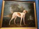Magnifique portrait de Polydore par Jean-Baptiste Oudry (1686-1755)

Essentiels à la chasse, les chiens
(dits couchants pour lever le gibier
la chasse à tir ou courants p