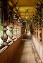In einem Rothschild-Jagdschloss in den österreichischen Alpen
Eingehüllt in Wälder und Hirschherden ist ein Rothschild-Jagdschloss in Österreich nach wie vor ein beliebte