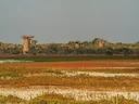 Matam Hunting Guide: Legislation, Communities, Clubs and Species. From Waterfowl to Warthogs Along the Senegal River

The Matam Department in Senegal is a captivating des