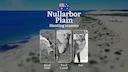 Nullarbor Plain’s Hunting Calendar: When the Limestone Plains Awaken - Camel, Kangaroo and Outback Pursuits

 Hunting Regulations & Seasonal Framework in the Nullarbor Pl