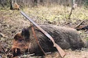 3 EASY WAYS TO MAKE ANY WILD HOG DELICIOUS
A lot of folks get nervous when you start throwing wild pig into the dinner table conversation. Log onto any hunting forum and 