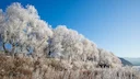 零下35℃的守护！苏尼特左旗警方的雪原“猎迹”行动，为野生动物筑起生命屏障 

随着一股强冷空气席卷蒙古高原，内蒙古苏尼特左旗的气温骤降至零下35摄氏度，广袤的草原与林海被厚厚的积雪覆盖。然而，在这极寒的寂静之下，一场无声的守护战正在紧张进行。
“每次大雪过后，正是野生动物外出觅食最活跃、但也最脆弱的时期。”苏尼特左旗公安局环境食品药品犯