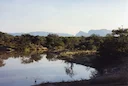 A Night in Hippo Heaven
By Donald J Stoner

 

It is said that hippos kill more people in Africa than any other animal (if you exclude mosquitos).  But does that qualify 