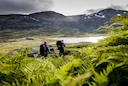 Court Denies Swedish Hunters' Right to Intervene in Critical Sámi Land Rights Case – What's Next for Hunting & Fishing?

 Gällivare District Court blocks Swedish Hunters'