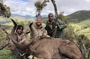Dire Dawa Hunting: Discover Unique Geography, Distinctive Features, and Exotic Game Species – Unlock the Adventure of Eastern Ethiopia

Nestled in eastern Ethiopia, Dire 