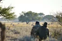 Hunting in Chobe District (Botswana), Africa: Geographical Features, Hunting Characteristics, Game Species, Seasons, Associations, Legislation and Traditions.
Geographic Hunting in Chobe District (Botswana), Africa: Geographical Features, Hunting Characteristics, Game Species, Seasons, Associations, Legislation and Traditions.
Geographic