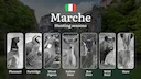 Marche Hunting Calendar: When the Sibillini Mountains Foothills Offer Best Running Game

Regulations and Hunting Seasons in Marche

The Marche region offers a diverse lan