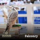 Falconry ADIHEX 2025, Abu Dhabi: Hunting Expo Sector Information and Photo

Discover the Falconry sector at ADIHEX 2025: live demos, auctions, training equipment, and lea