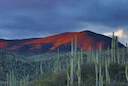 Caza en Chihuahua: Todo lo que Necesitas Saber para una Experiencia Exitosa con Especies, Temporadas, Regulaciones y Consejos Prácticos para Cazadores en México

Chihuahu