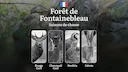 Saisons de Chasse en FORÊT DE FONTAINEBLEAU: Réglementation Générale, Périodes Clés, Pics d’Activité Animale, Limitations Spécifiques et Procédure d'Obtention des Permis
Saisons de Chasse en FORÊT DE FONTAINEBLEAU: Réglementation Générale, Périodes Clés, Pics d’Activité Animale, Limitations Spécifiques et Procédure d'Obtention des Permis