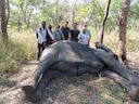 Hunting in GILÉ National Reserve: A Unique African Experience Blending Tradition, Adventure, and Conservation

The Gilé National Reserve, located in Mozambique, is an exc