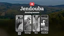 Hunting Seasons in JENDOUBA: Opening and Closing Dates, Protected Species, Permit Requirements and General Hunting Rules

Jendouba, a region in northwestern Tunisia, is a