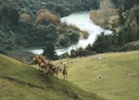 Wellington hunting access points and essential guidelines, geographical and natural features of the region

Geographical and natural features of the regionб woodlands ful