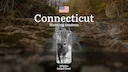 Deer Hunting Seasons in Connecticut: Timing, Licenses, Rules, Restrictions and Prohibitions, Hunting Tips

Hunting white-tailed deer (Odocoileus virginianus) in the state
