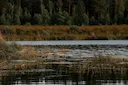 Dundgovi Province, Mongolia: unique game and hunting experience, Demographics, Clubs, Laws and Hunting Seasons

Mongolia’s Dundgovi Province, located in the heart of the 