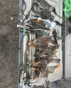 🦆 Duck Call Trials in the Marsh 🦆
Spent the morning knee-deep in the reeds testing out a few different duck calls. From double reeds to acrylic hand-tuned beauties - ea