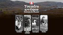 Saisons de chasse dans la TOUNDRA ARCTIQUE (Canada): périodes officielles, réglementation essentielle et conseils pratiques 

La chasse dans la toundra arctique canadienn