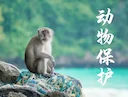 大兴安岭冬季“三清”行动：守护野生动物，严打非法盗猎

随着寒冬降临，中国北方林区再次成为野生动物保护的关键战场。近日，大兴安岭林业集团公司松岭林业局宣布，自入冬以来持续开展的“巡山清套清网清夹”专项行动（简称“三清”行动）已取得阶段性成效。这场旨在打击非法猎捕、全面维护生态安全的战役，正以高压态势守护着大兴安岭的珍贵生物多样性。

 �