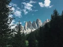 Caccia nella Foresta Umbra: Tra Faggi Seccoli e Tradizioni Garganiche
La Foresta Umbra, situata nel cuore del Parco Nazionale del Gargano in Puglia, è un'area di straordi