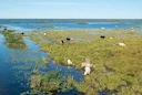 Liminka Bay Hunting: From Demographics to Seasons – Everything You Need to Know about Community and Demographics

Nestled along Finland’s western coast, Liminka Bay is a 