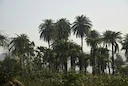  Amhara Region Hunting: A Journey into the Heart of Ethiopia – Discovering Diverse Wildlife, Unique Geography and Time-Honored Traditions

The Amhara Region in Ethiopia i