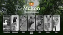 Hunting Access Dates in Mukon: Key Hunting Periods for All Species, Restricted Areas, Rules and Exceptions, Getting Your License, Gear, Locations, and Optimal Timing 

Hu