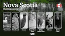 Hunting Seasons in NOVA SCOTIA: Key Dates, Required Licenses and Essential Rules 

Nova Scotia offers diverse hunting opportunities across its forests, wetlands, and coas