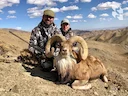 Trophy Universal: Urial

Ovis aries (lat.) is a species of mammal from the genus 🐏 rams, subfamily Capidae, family Bovidae.

ℹ️ An interesting combination of genetic tra