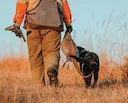 Pheasant Hunting: From Asian Roots to British Estates
Pheasant hunting traces its lineage back to Asia, where the bird was first domesticated and admired for its plumage Pheasant Hunting: From Asian Roots to British Estates
Pheasant hunting traces its lineage back to Asia, where the bird was first domesticated and admired for its plumage